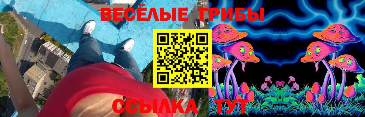 Галлюциногенные грибы мицелий  Вход с VPN  Галлюциногенные грибы Psilocybe  Ессентуки 