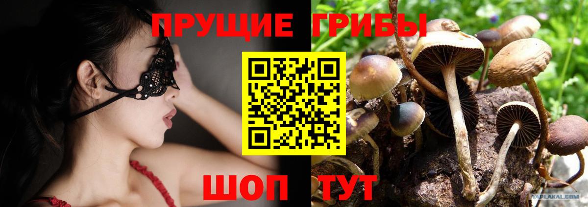 Галлюциногенные грибы MAGIC MUSHROOMS Ессентуки