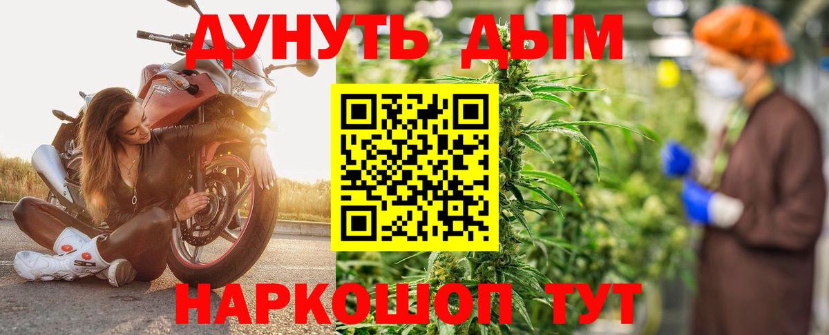 Канабис OG Kush Ессентуки